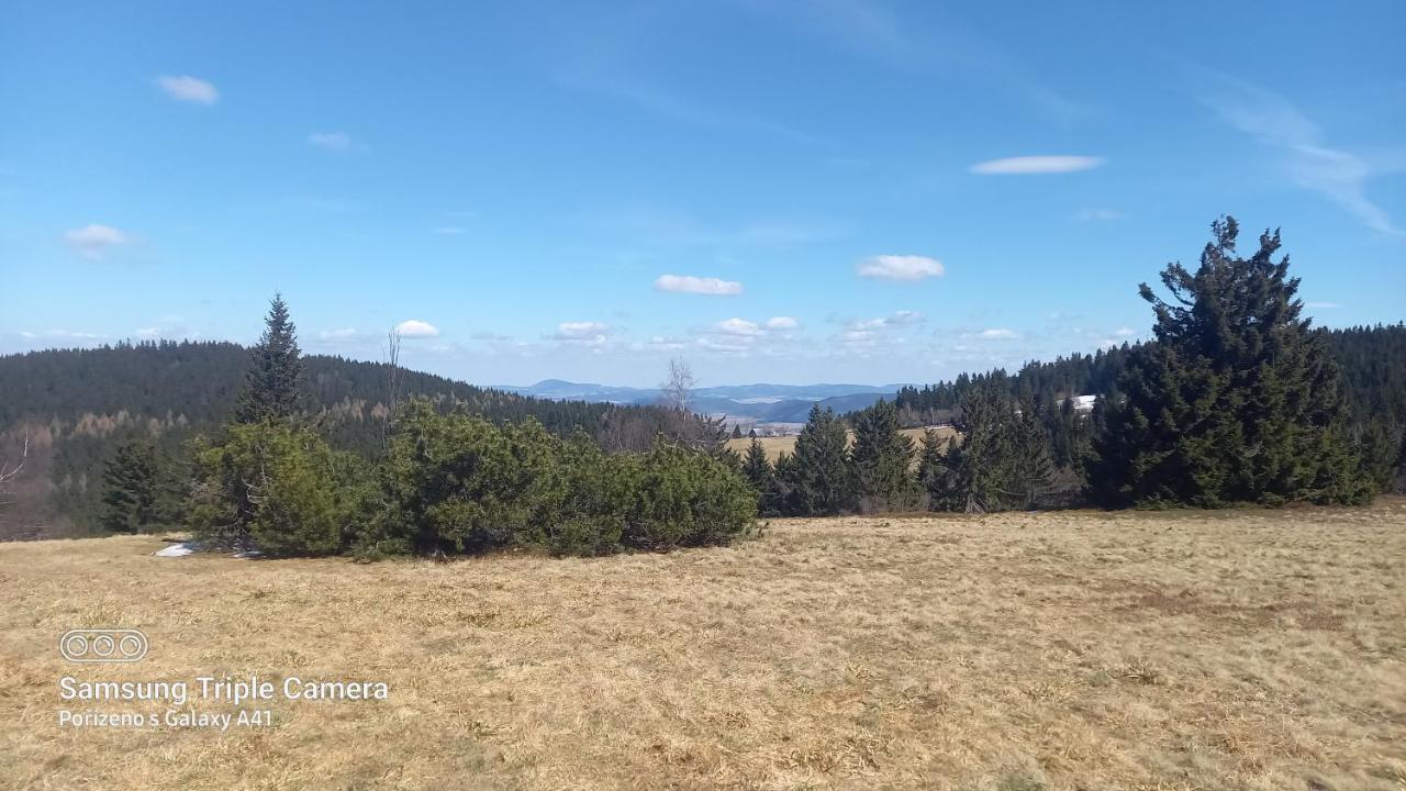 Chata U lesa Svoboda nad Upou Bagian luar foto
